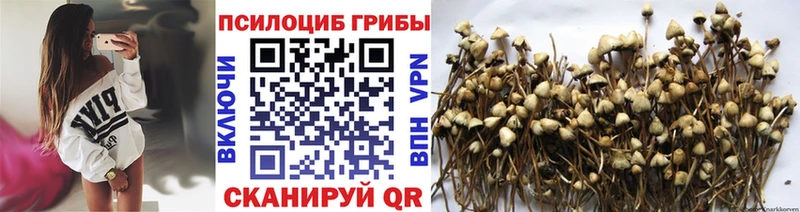 Псилоцибиновые грибы прущие грибы как найти наркотики Жиздра