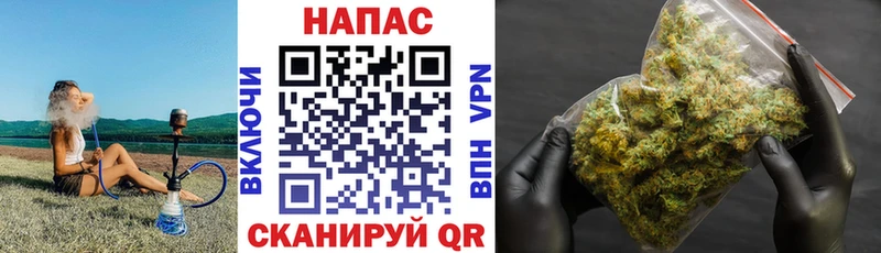 продажа наркотиков  Жиздра  Марихуана AK-47 